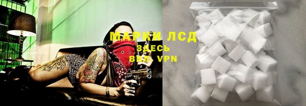гашик Алексеевка