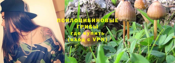 прущие крисы Абинск