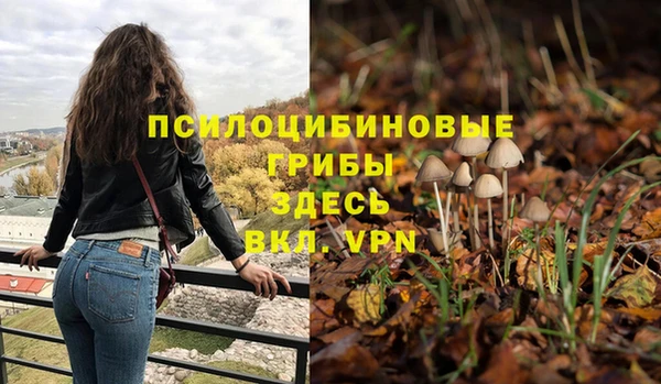 прущие крисы Абинск