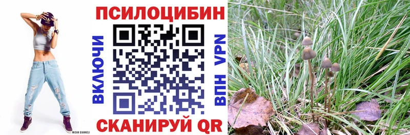 Псилоцибиновые грибы Psilocybine cubensis  цены наркотик  Лысково 